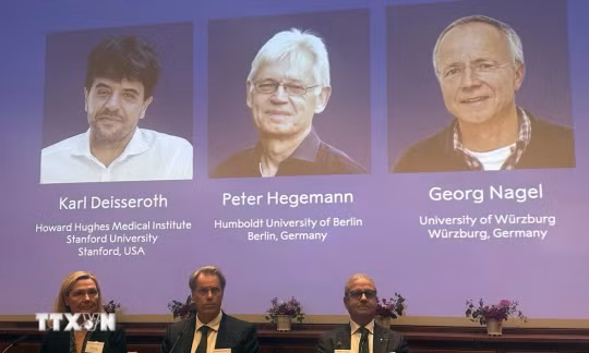 Nobel Y Sinh 2026: Giải mã "công tắc" điều khiển tế bào thần kinh bằng ánh sáng