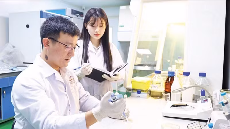 Tiến sĩ Lê Văn Nhân hướng dẫn đồng nghiệp kiểm tra các hợp chất trong cao chiết lá cây mật gấu. Ảnh: MINH ĐỨC