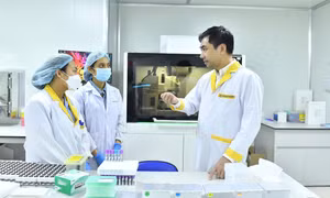 Công bố kết quả bước đầu giải mã 1.000 hệ gen người Việt: Nền tảng cho y học chính xác và xác định ADN