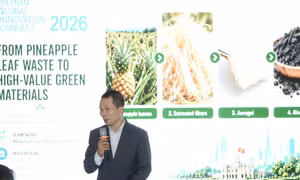Startup biến lá dứa thành vật liệu xanh giá trị cao
