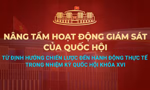 Diễn đàn của Quốc hội về hoạt động giám sát diễn ra sáng 30/7