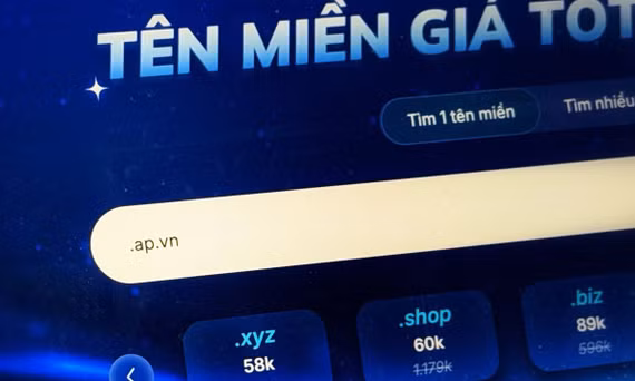 Giao diện một trang đăng ký tên miền.