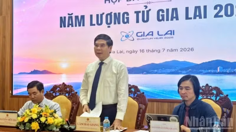 Phó Chủ tịch Ủy ban nhân dân tỉnh Gia Lai Lâm Hải Giang phát biểu tại buổi họp.