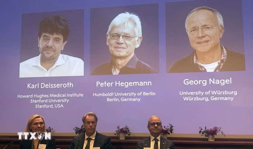Nobel Y Sinh 2026: Giải mã "công tắc" điều khiển tế bào thần kinh bằng ánh sáng