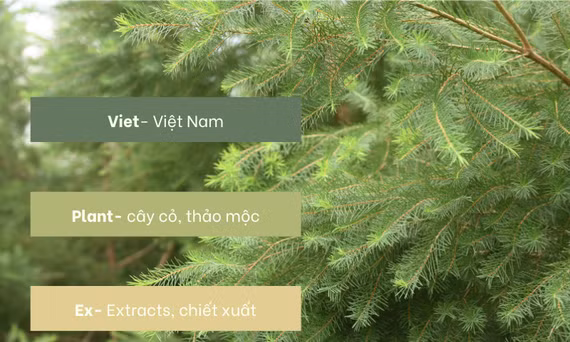[TUYỂN DỤNG] CÔNG TY CỔ PHẦN VIETPLANTEX - NHÀ MÁY CHIẾT XUẤT DƯỢC LIỆU