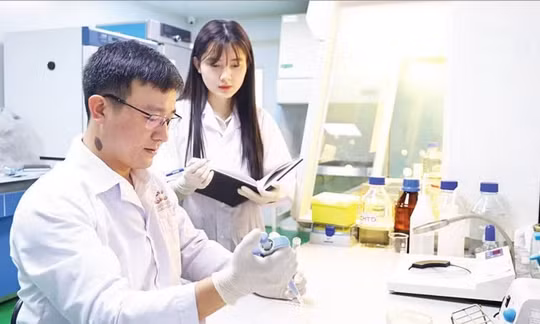 Tiến sĩ Lê Văn Nhân hướng dẫn đồng nghiệp kiểm tra các hợp chất trong cao chiết lá cây mật gấu. Ảnh: MINH ĐỨC