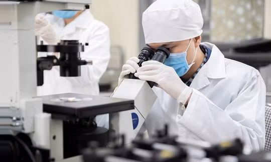 Chương trình VREF dự kiến hằng năm tuyển chọn, hỗ trợ kinh phí nghiên cứu cho khoảng 100 nghiên cứu sinh xuất sắc. Ảnh minh họa