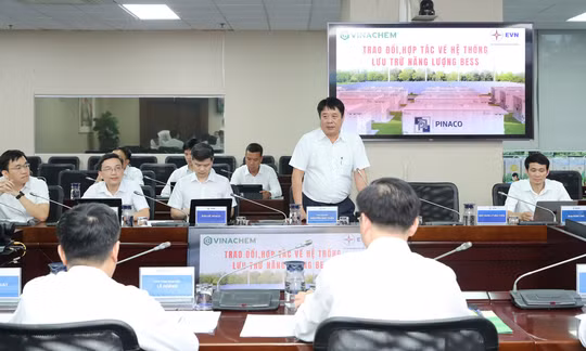 Tổng Giám đốc EVN Nguyễn Anh Tuấn phát biểu. Ảnh: Ng.Tuấn
